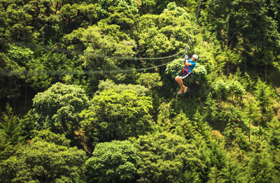 trip_InfoHighlights